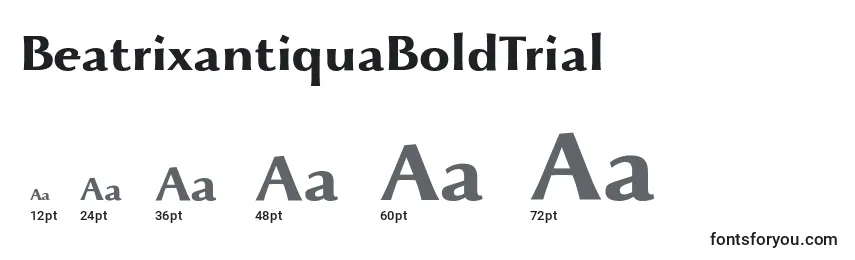 Размеры шрифта BeatrixantiquaBoldTrial