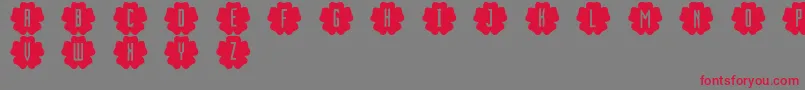 Pickledpansies Font – Red Fonts on Gray Background