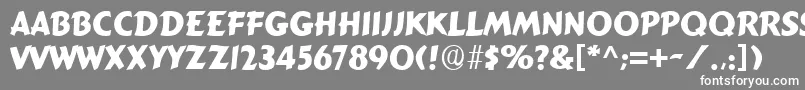 フォントSignboardRegular – 灰色の背景に白い文字