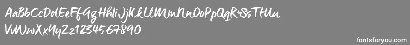 ManeoTrial Font – White Fonts on Gray Background