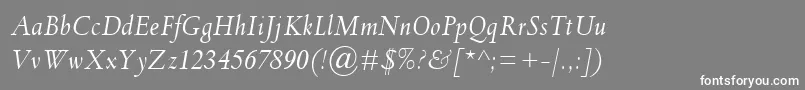 フォントSpectrumMtItalic – 灰色の背景に白い文字