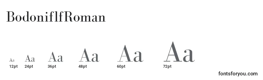 BodoniflfRoman Font Sizes