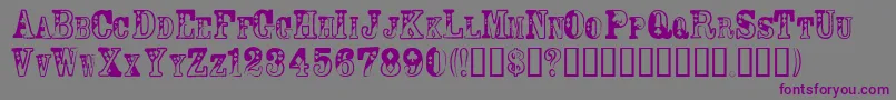 フォントCasiqn – 紫色のフォント、灰色の背景
