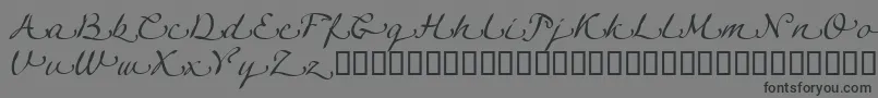 LinotypeagogoSwashtwo Font – Black Fonts on Gray Background