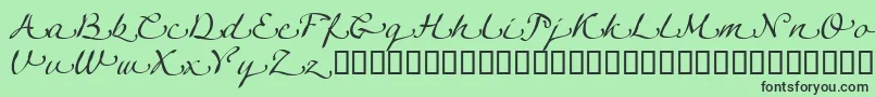 LinotypeagogoSwashtwo Font – Black Fonts on Green Background