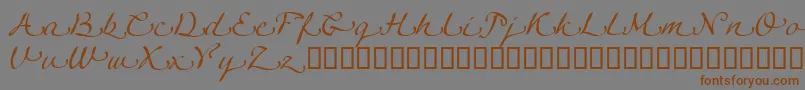 LinotypeagogoSwashtwo Font – Brown Fonts on Gray Background