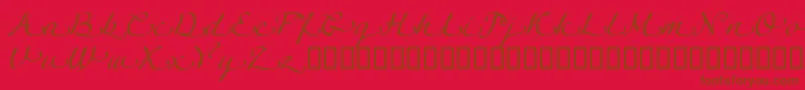 LinotypeagogoSwashtwo Font – Brown Fonts on Red Background
