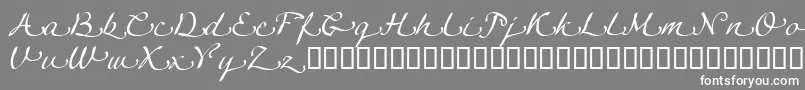 フォントLinotypeagogoSwashtwo – 灰色の背景に白い文字