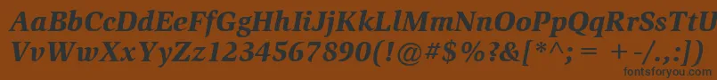 ItcSlimbachLtBlackItalic Font – Black Fonts on Brown Background