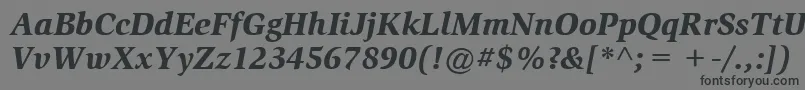 ItcSlimbachLtBlackItalic Font – Black Fonts on Gray Background