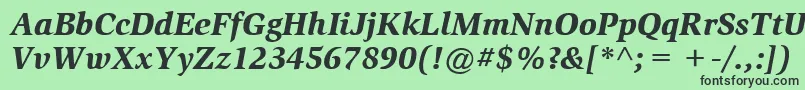 ItcSlimbachLtBlackItalic Font – Black Fonts on Green Background