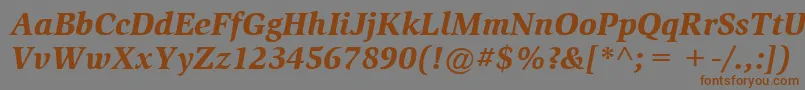 ItcSlimbachLtBlackItalic Font – Brown Fonts on Gray Background