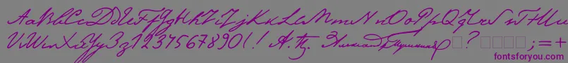 Pushkin2-Schriftart – Violette Schriften auf grauem Hintergrund