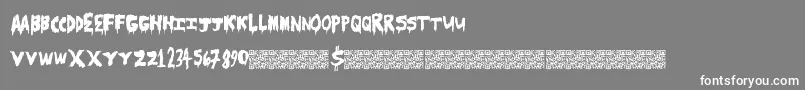 Scarecamp Font – White Fonts on Gray Background