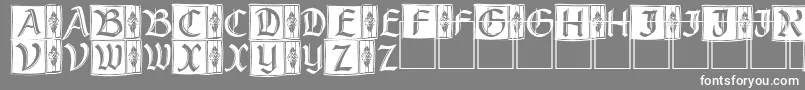 フォントRustick – 灰色の背景に白い文字