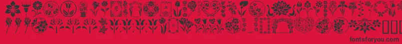 GeFloralStencils Font – Black Fonts on Red Background