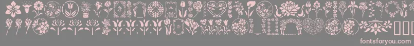 Шрифт GeFloralStencils – розовые шрифты на сером фоне