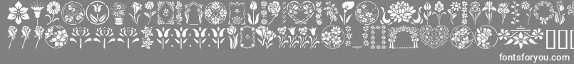 フォントGeFloralStencils – 灰色の背景に白い文字