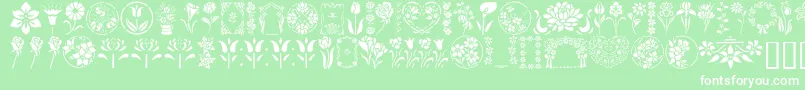 フォントGeFloralStencils – 緑の背景に白い文字