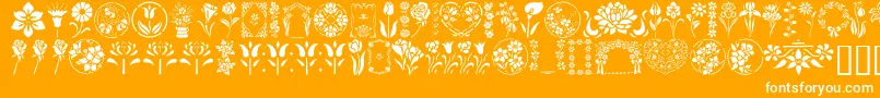 GeFloralStencils Font – White Fonts on Orange Background