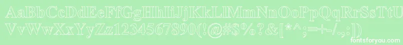 TimesRomanHollowBold Font – White Fonts on Green Background