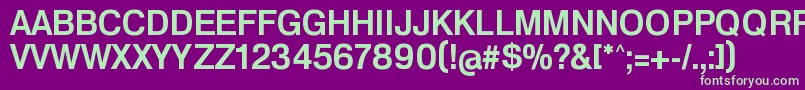 HeldustryftvbasicDemi Font – Green Fonts on Purple Background