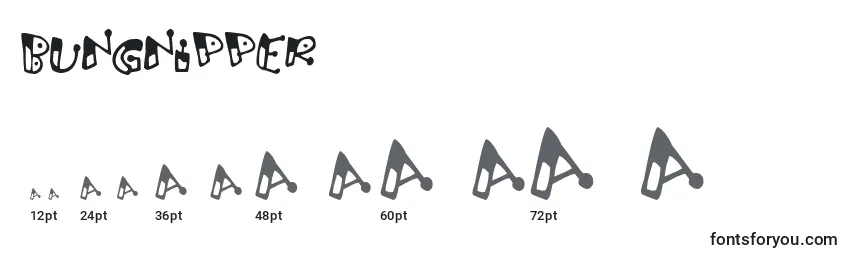Bungnipper Font Sizes