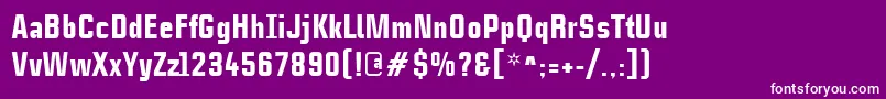 CasestudynooneLtBlack Font – White Fonts on Purple Background
