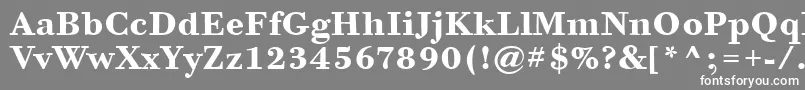 フォントBodoniSixItcTtBold – 灰色の背景に白い文字