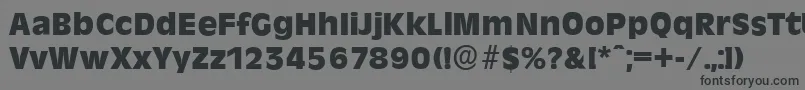 RavennaserialHeavyRegular Font – Black Fonts on Gray Background
