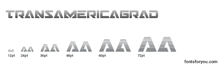 Transamericagrad Font Sizes