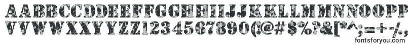Camouflagew Font – Block Fonts