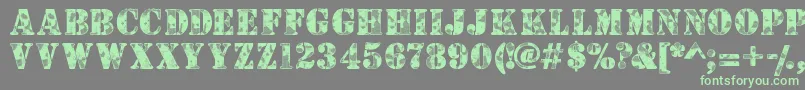 Camouflagew Font – Green Fonts on Gray Background