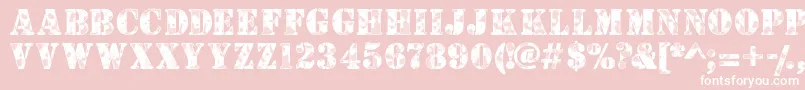 Camouflagew Font – White Fonts on Pink Background