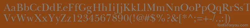 BaskervilleGreekUpright Font – Gray Fonts on Brown Background