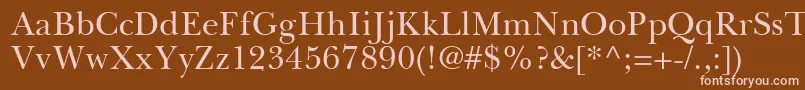 BaskervilleGreekUprightフォントについての詳細 フォントBaskervilleGreekUpright – 茶色の背景にピンクのフォント