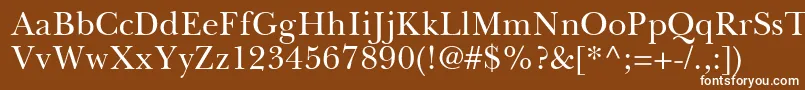 Czcionka BaskervilleGreekUpright – białe czcionki na brązowym tle
