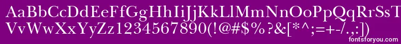 BaskervilleGreekUpright Font – White Fonts on Purple Background