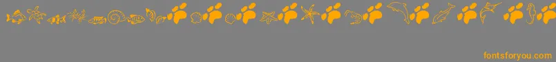 MarLizzy Font – Orange Fonts on Gray Background