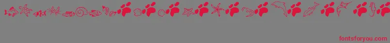 MarLizzy Font – Red Fonts on Gray Background
