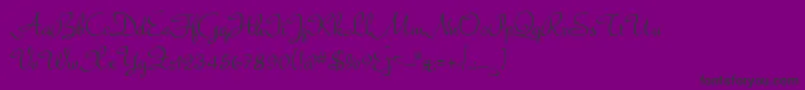 Bella Font – Black Fonts on Purple Background