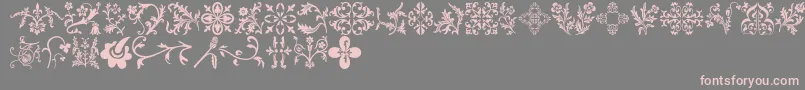 Floralia Font – Pink Fonts on Gray Background