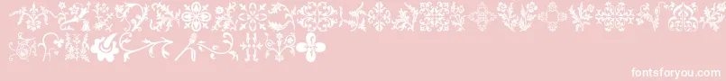 Floralia-Schriftart – Weiße Schriften auf rosa Hintergrund