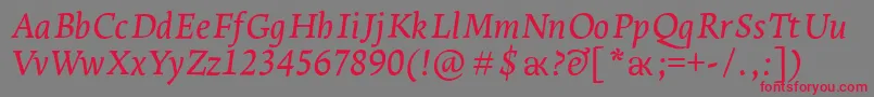 フォントLeksaproDemiboldItalic – 赤い文字の灰色の背景