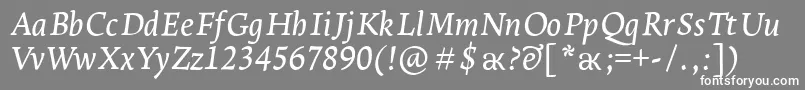 フォントLeksaproDemiboldItalic – 灰色の背景に白い文字