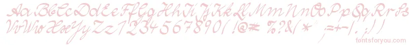 WolgastTwoNormalCyr Font – Pink Fonts