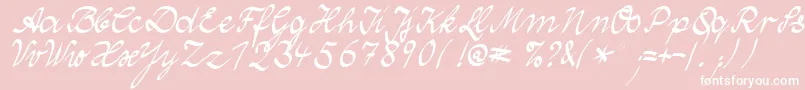 WolgastTwoNormalCyr-Schriftart – Weiße Schriften auf rosa Hintergrund