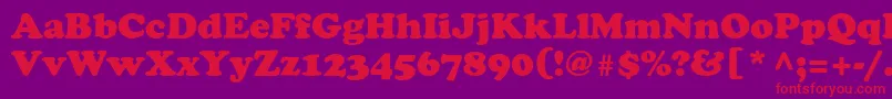 AgcoopercyrRoman-Schriftart – Rote Schriften auf violettem Hintergrund