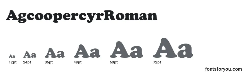 Размеры шрифта AgcoopercyrRoman