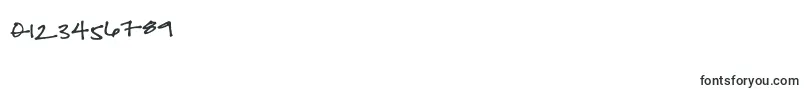 Fuchsiabuddha Font – Fonts for Numbers and Digits